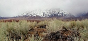 Owens Valley