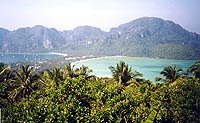 Phi Phi Phi Phi