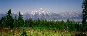 Good morning at Grand Teton mountain range