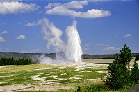 Old Faithful