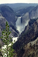 Yellowstone Falls