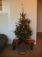 Christmas tree