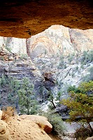 Cave Cave