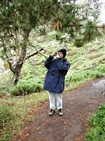 Lesley