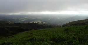 Hill