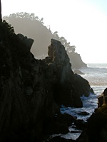 Point Lobos