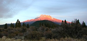 Mt Shasta