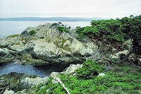 Skály na Point Lobos