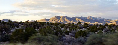 Arizona Hills