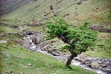 Borrowdale