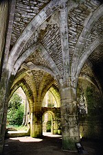 Arch Roof