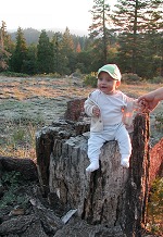 Tom sitting on a stump