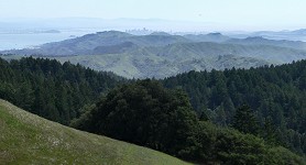 Horizonty Horizonty