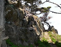 Point Lobos Point Lobos