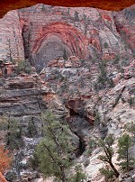 A canyon with a creek from under a crevice