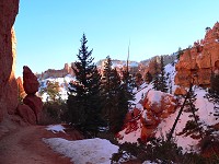 Trpaslík v Bryce Canyon