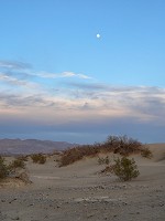 Last view of the dunes