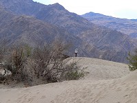 Junior in the desert