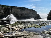 When the ocean is wild and the wind furious,
				 we crawl in the shelter of coastal cliffs