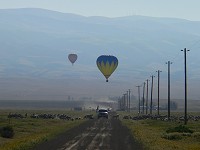 Balony a ovce Balony a ovce
