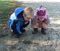 Kids watching a banana slug Kids watching a banana slug