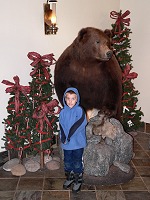 Tom s (vycpaným) medvědem