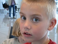 Tomášek v transatlantické přepravě. Tomášek v transatlantické přepravě.