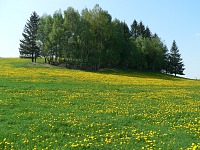 Novákův kopec. Novákův kopec.