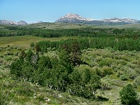 Scenery above Mono Lake