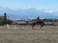 Bronco riding Bronco riding