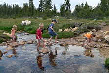 Kids played at a ford