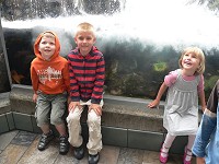 Artificial waterfall at the aquarium