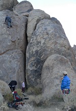 Hippo climbing Hippo climbing