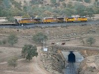 Tehachapi Loop offers trains for Tom and horses for Lisa. Tehachapi Loop offers trains for Tom and horses for Lisa.
