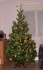 Our Christmas tree Our Christmas tree