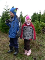 Kids picking a Christmas tree Kids picking a Christmas tree