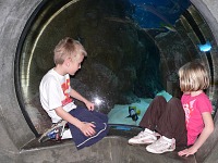 Aquarium