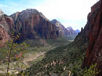 Údolí pod Angels Landing Údolí pod Angels Landing