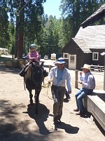 Lisa riding a big horse.