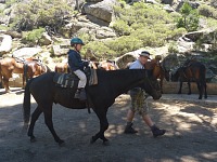 Tom also on a horse.