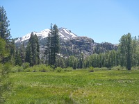 Kennedy Meadows 