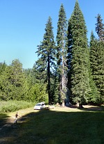 Our wonderful campsite at Mill Creek.
