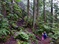 In a rain forest. In a rain forest.