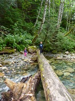A creek downstream of Shannon Falls BEFORE the kids fell in. A creek downstream of Shannon Falls BEFORE the kids fell in.