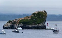 Port Trinidad, California. Port Trinidad, California.