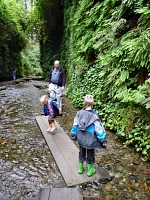 Splashing bridges. Splashing bridges.