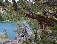 Roosevelt Lake Roosevelt Lake