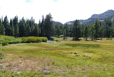 Walker Meadow Walker Meadow