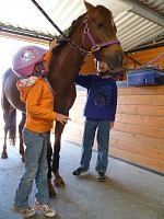 Horses need care.