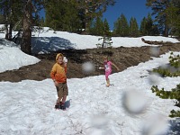 An obligatory snow ball fight in Sonora Pass. An obligatory snow ball fight in Sonora Pass.